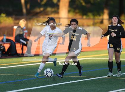 Thumbnail 1 in Notre Dame vs. Terra Nova (CIF CCS D2 Semifinal) photogallery.