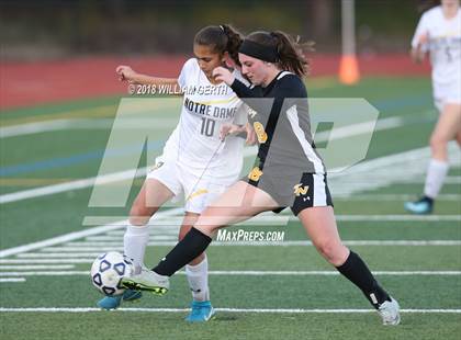 Thumbnail 1 in Notre Dame vs. Terra Nova (CIF CCS D2 Semifinal) photogallery.