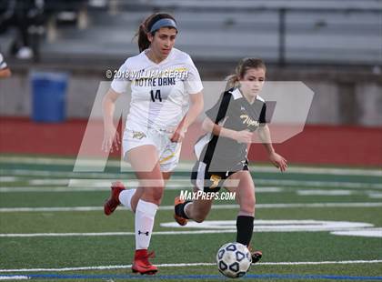 Thumbnail 2 in Notre Dame vs. Terra Nova (CIF CCS D2 Semifinal) photogallery.