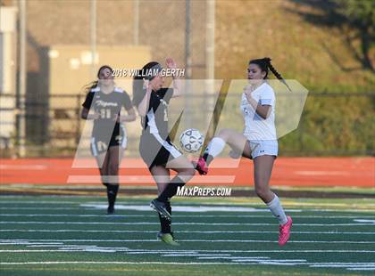 Thumbnail 1 in Notre Dame vs. Terra Nova (CIF CCS D2 Semifinal) photogallery.