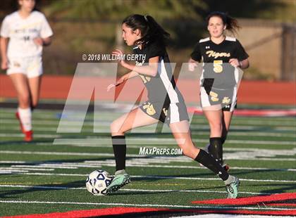 Thumbnail 1 in Notre Dame vs. Terra Nova (CIF CCS D2 Semifinal) photogallery.
