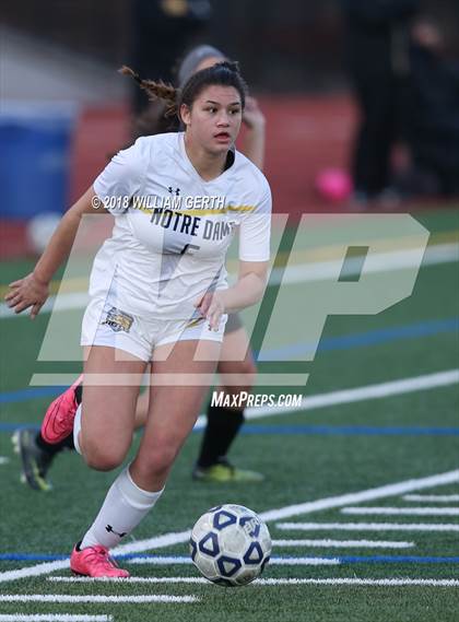 Thumbnail 3 in Notre Dame vs. Terra Nova (CIF CCS D2 Semifinal) photogallery.