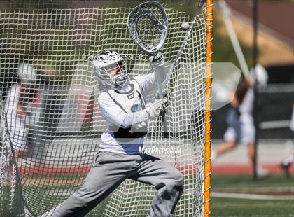Thumbnail 1 in Loyola @ Crespi photogallery.