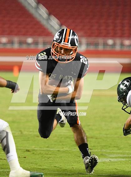 Thumbnail 1 in Los Gatos vs. Homestead (Levi's Stadium Series) photogallery.