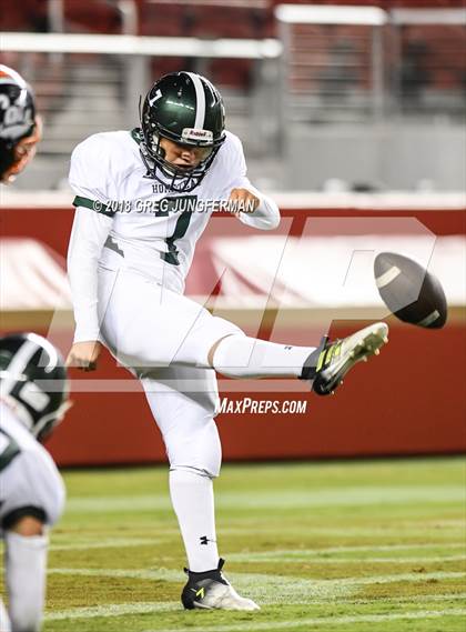 Thumbnail 2 in Los Gatos vs. Homestead (Levi's Stadium Series) photogallery.