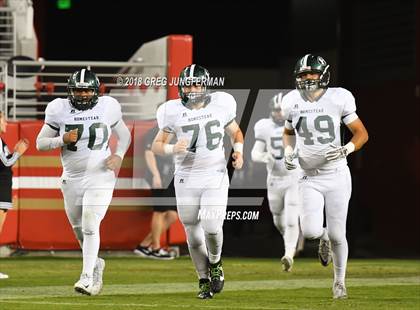 Thumbnail 2 in Los Gatos vs. Homestead (Levi's Stadium Series) photogallery.