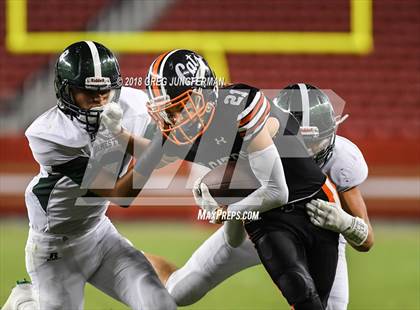 Thumbnail 3 in Los Gatos vs. Homestead (Levi's Stadium Series) photogallery.
