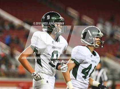 Thumbnail 3 in Los Gatos vs. Homestead (Levi's Stadium Series) photogallery.