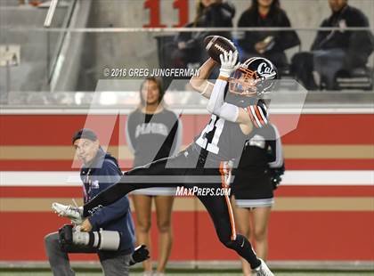 Thumbnail 1 in Los Gatos vs. Homestead (Levi's Stadium Series) photogallery.