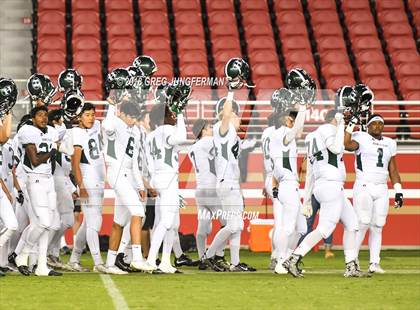 Thumbnail 1 in Los Gatos vs. Homestead (Levi's Stadium Series) photogallery.