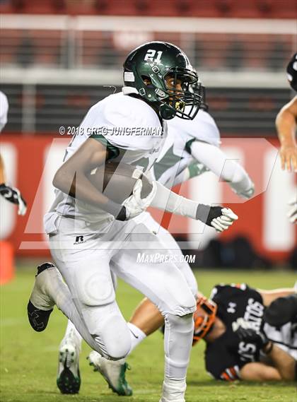 Thumbnail 1 in Los Gatos vs. Homestead (Levi's Stadium Series) photogallery.