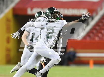 Thumbnail 3 in Los Gatos vs. Homestead (Levi's Stadium Series) photogallery.
