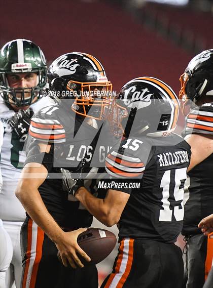 Thumbnail 2 in Los Gatos vs. Homestead (Levi's Stadium Series) photogallery.