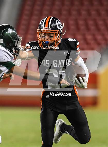 Thumbnail 3 in Los Gatos vs. Homestead (Levi's Stadium Series) photogallery.