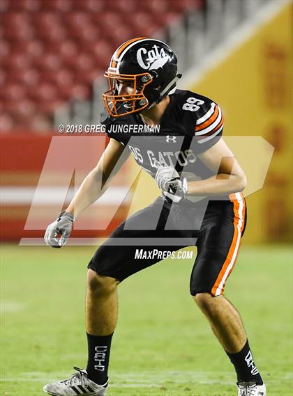 Thumbnail 3 in Los Gatos vs. Homestead (Levi's Stadium Series) photogallery.