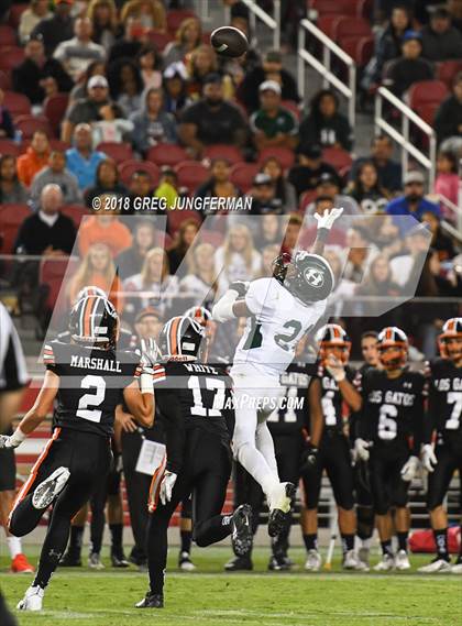 Thumbnail 3 in Los Gatos vs. Homestead (Levi's Stadium Series) photogallery.