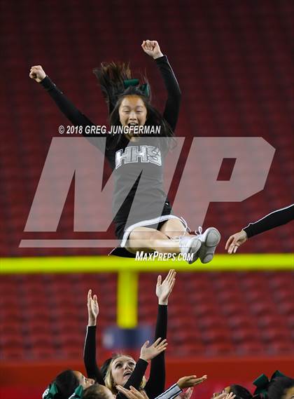 Thumbnail 2 in Los Gatos vs. Homestead (Levi's Stadium Series) photogallery.