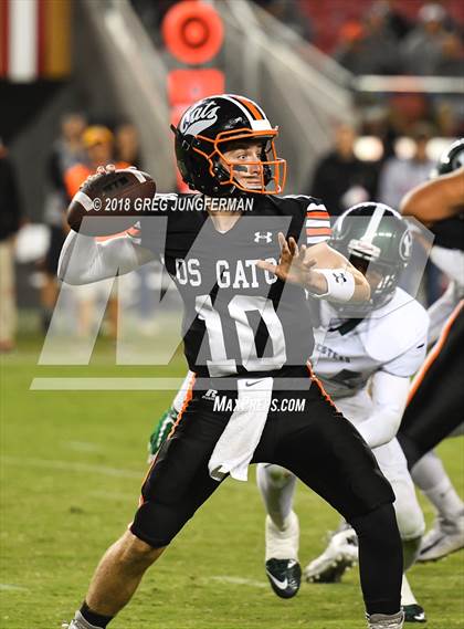 Thumbnail 1 in Los Gatos vs. Homestead (Levi's Stadium Series) photogallery.