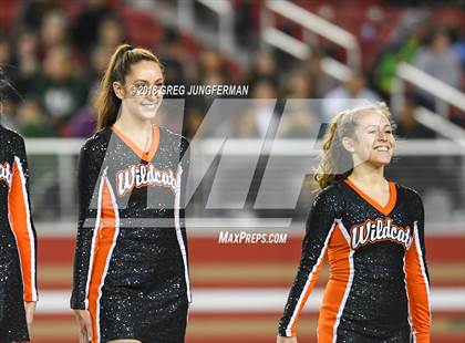 Thumbnail 3 in Los Gatos vs. Homestead (Levi's Stadium Series) photogallery.