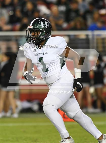 Thumbnail 2 in Los Gatos vs. Homestead (Levi's Stadium Series) photogallery.