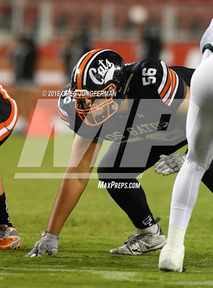 Thumbnail 1 in Los Gatos vs. Homestead (Levi's Stadium Series) photogallery.