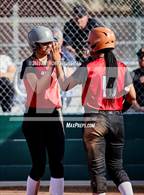 Photo from the gallery "Galt @ Cordova"
