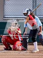 Photo from the gallery "Galt @ Cordova"