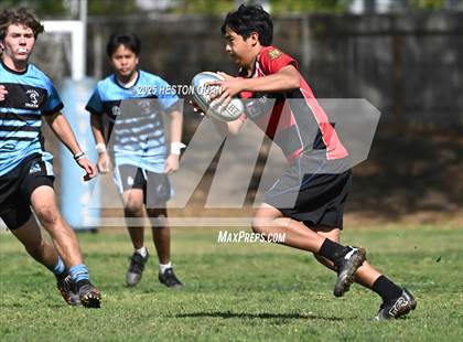 Thumbnail 3 in San Clemente @ Villa Park photogallery.