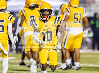 Thumbnail 2 in Olive Branch @ Lake Cormorant photogallery.