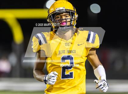 Thumbnail 2 in Olive Branch @ Lake Cormorant photogallery.