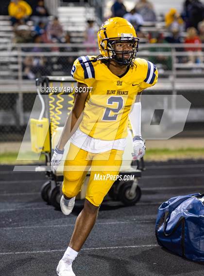 Thumbnail 1 in Olive Branch @ Lake Cormorant photogallery.