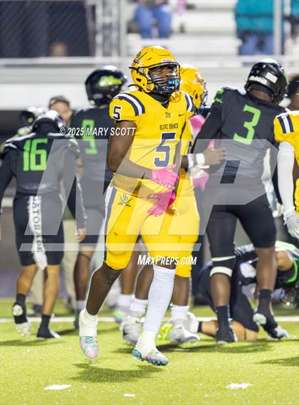 Thumbnail 1 in Olive Branch @ Lake Cormorant photogallery.