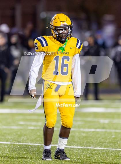 Thumbnail 1 in Olive Branch @ Lake Cormorant photogallery.