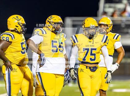 Thumbnail 3 in Olive Branch @ Lake Cormorant photogallery.