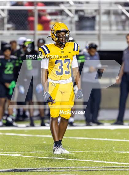 Thumbnail 3 in Olive Branch @ Lake Cormorant photogallery.