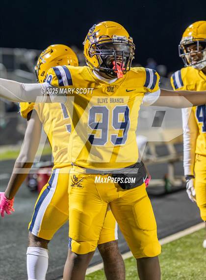 Thumbnail 1 in Olive Branch @ Lake Cormorant photogallery.