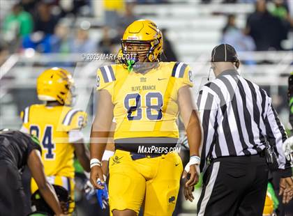 Thumbnail 3 in Olive Branch @ Lake Cormorant photogallery.