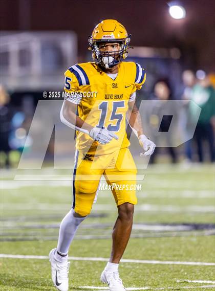 Thumbnail 1 in Olive Branch @ Lake Cormorant photogallery.