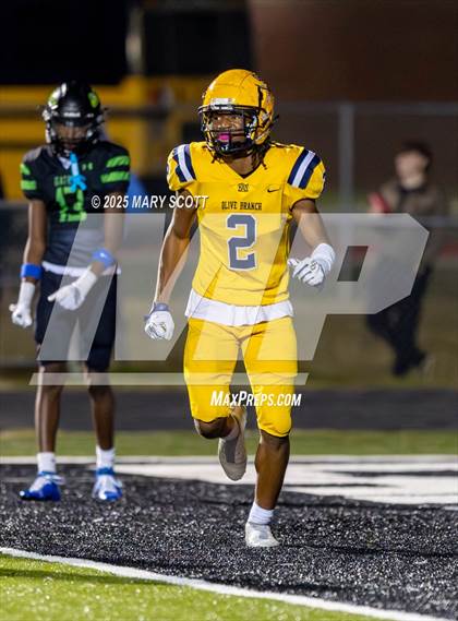 Thumbnail 1 in Olive Branch @ Lake Cormorant photogallery.