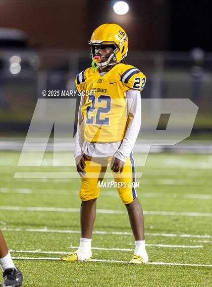 Thumbnail 1 in Olive Branch @ Lake Cormorant photogallery.