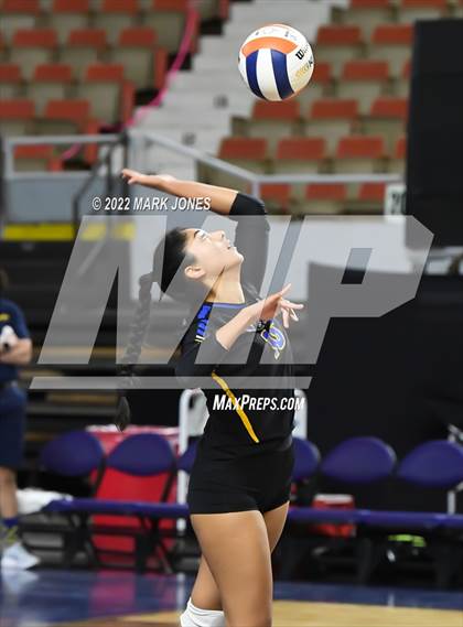 Thumbnail 3 in Phoenix Country Day vs. St. Johns (AIA 2A Final) photogallery.