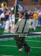 Photo from the gallery "Blessed Trinity @ Marist"