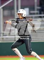 Photo from the gallery "Rock Hill @ Allen"
