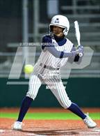 Photo from the gallery "Rock Hill @ Allen"