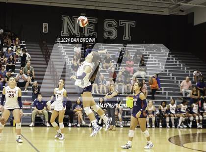 Thumbnail 3 in Sachse @ Rowlett photogallery.