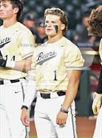 Photo from the gallery "Basha vs. Perry (Chase Field)"