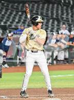Photo from the gallery "Basha vs. Perry (Chase Field)"