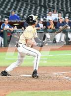 Photo from the gallery "Basha vs. Perry (Chase Field)"