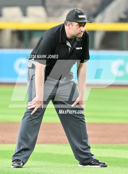 Thumbnail 1 in Basha vs. Perry (Chase Field) photogallery.