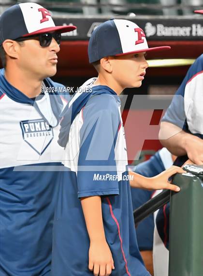 Thumbnail 2 in Basha vs. Perry (Chase Field) photogallery.